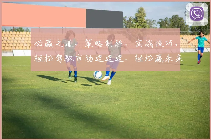 必赢之道，策略制胜，实战技巧，轻松驾驭市场逗逗逗，轻松赢未来